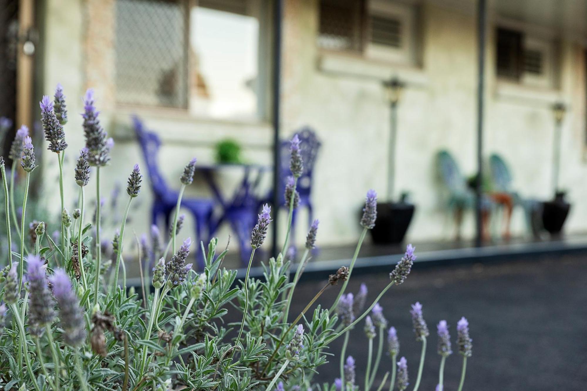 Toowoomba Hospital Apartments Rockville Exterior photo